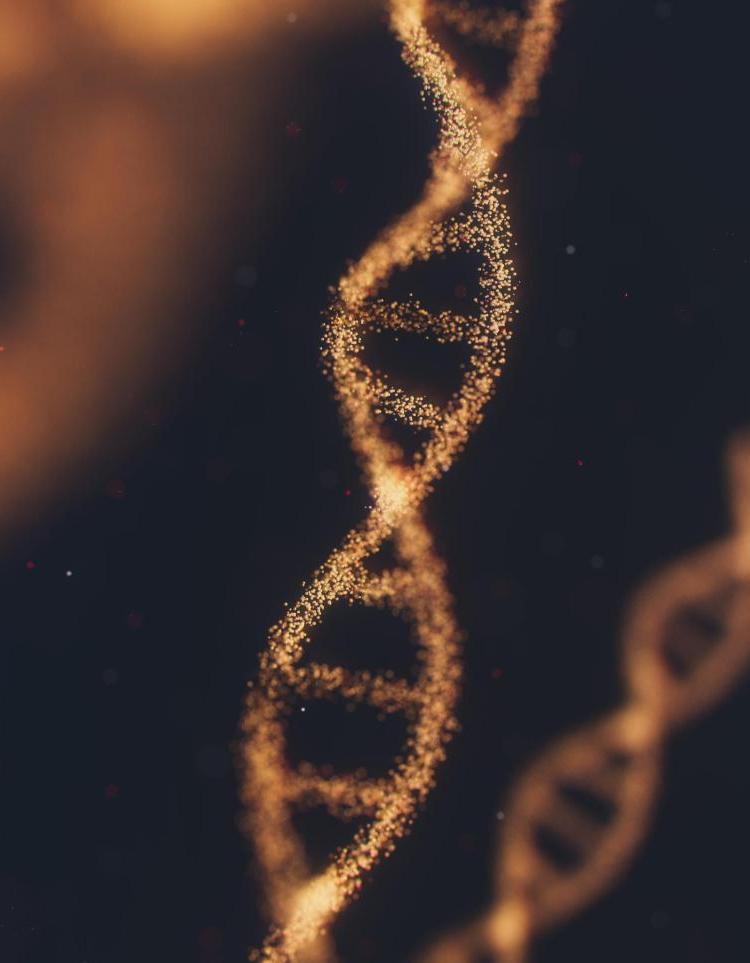 DNA